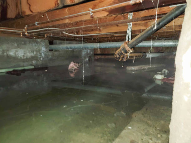Best 24-hour water damage restoration  in Lebanon Junction, KY