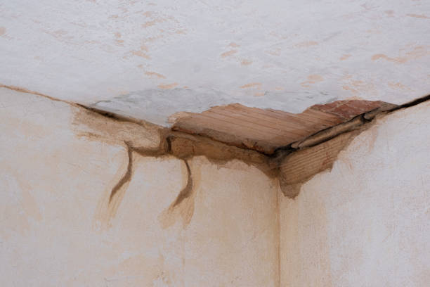 Best Water damage cleanup near me  in Lebanon Junction, KY