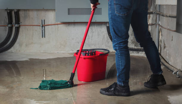 Best Water damage restoration company  in Lebanon Junction, KY