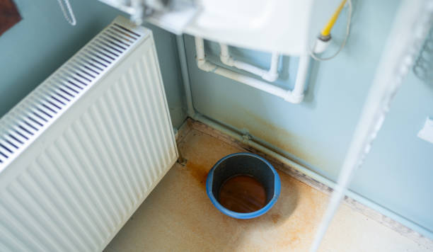 Best Sewage cleanup and water damage restoration  in Lebanon Junction, KY