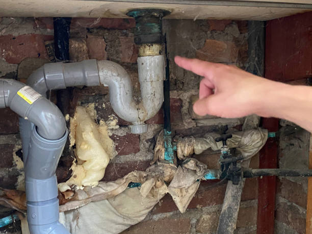 Best Ceiling water damage repair  in Lebanon Junction, KY