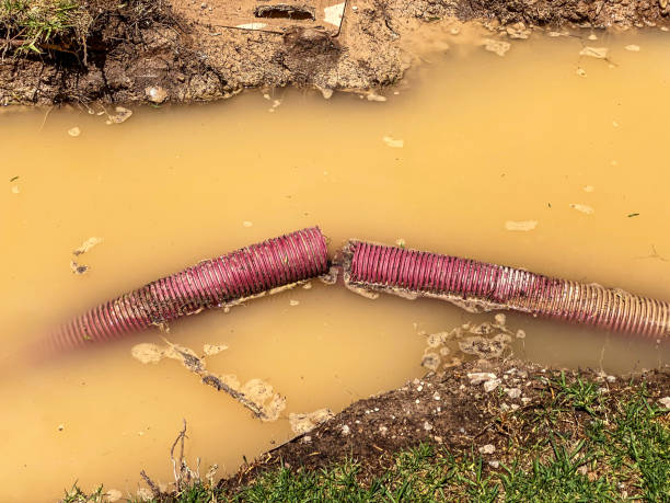 Best Water damage restoration mold remediation  in Lebanon Junction, KY